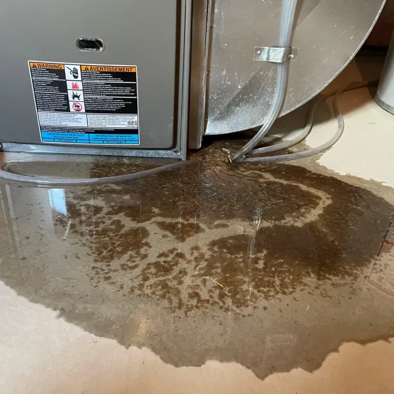 Appliance Leak Cleanup in Maryville, MO