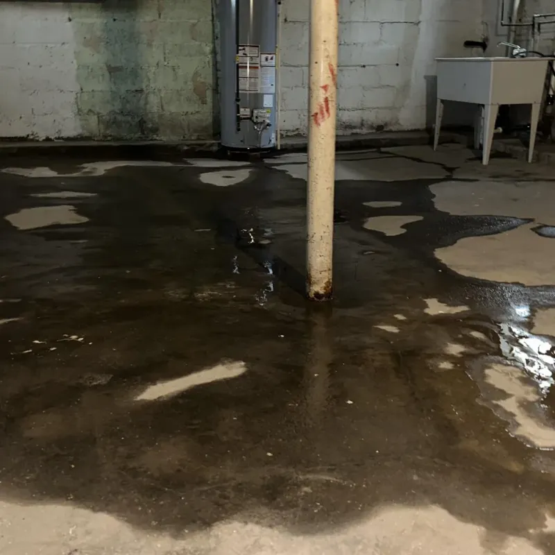 Emergency Water Extraction And Removal in Maryville, MO